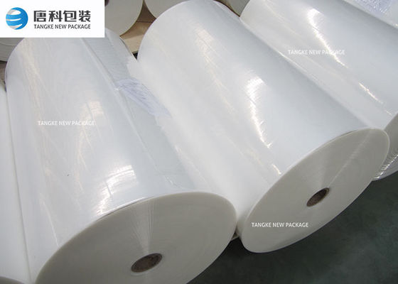 Màng nhựa PE chống ẩm in ấn