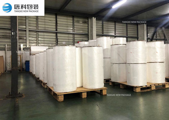 Phim định dạng nhiệt trong suốt